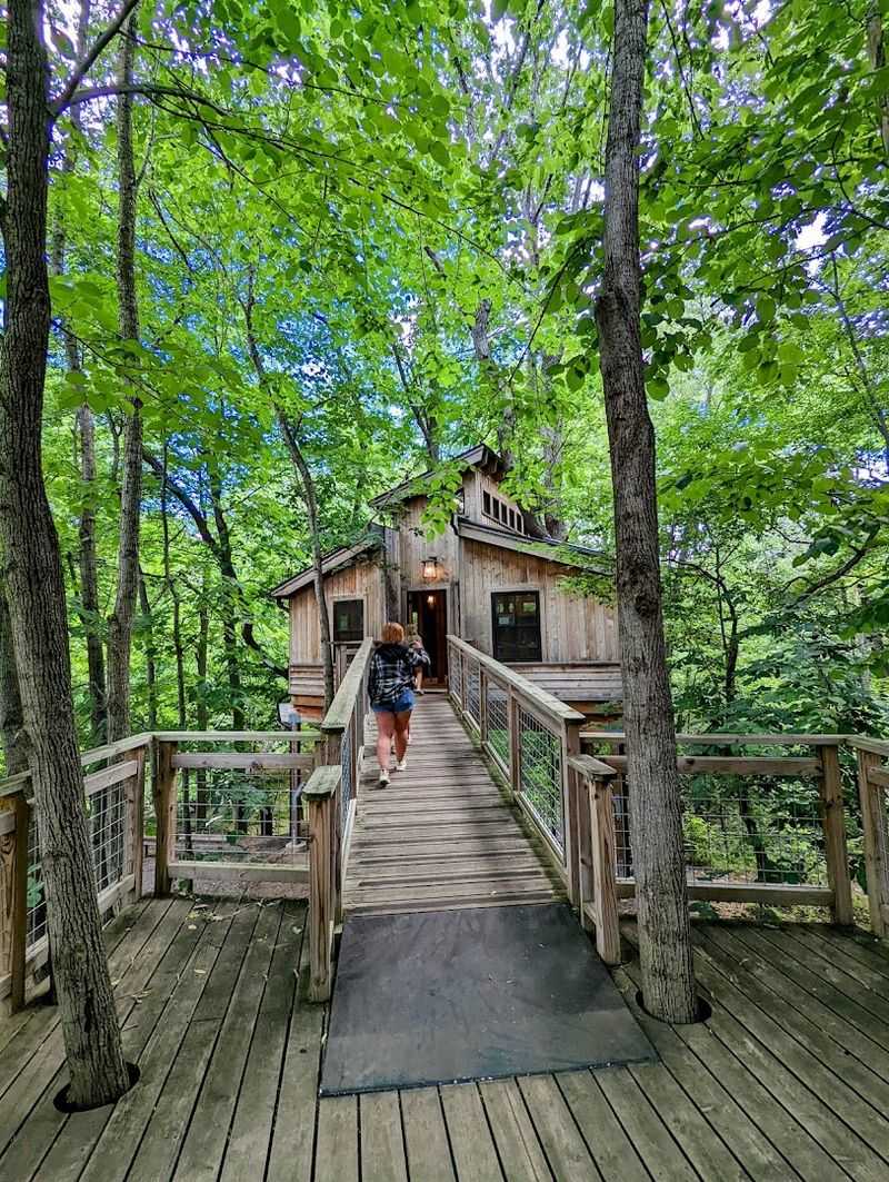 The Treehouse That Earns Every Bit of Its Reputation The Treehouse That Earns Every Bit of Its Reputation