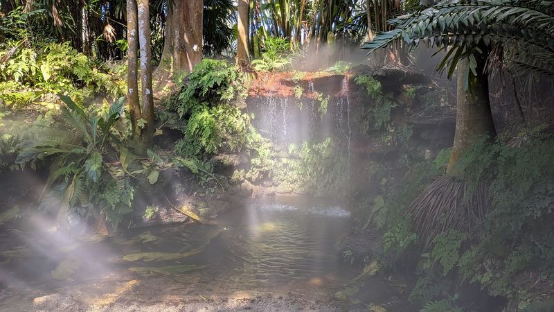 The Tropical Rainforest Section