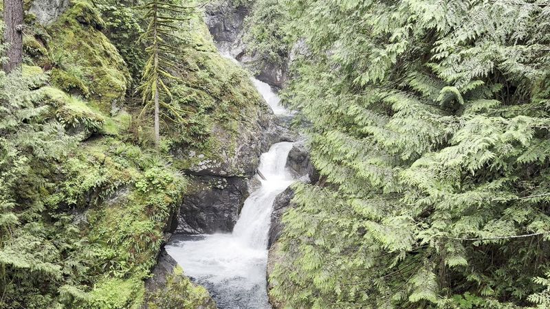 The Twin Falls Experience Compared to Other Seattle-Area Hikes The Twin Falls Experience Compared to Other Seattle-Area Hikes