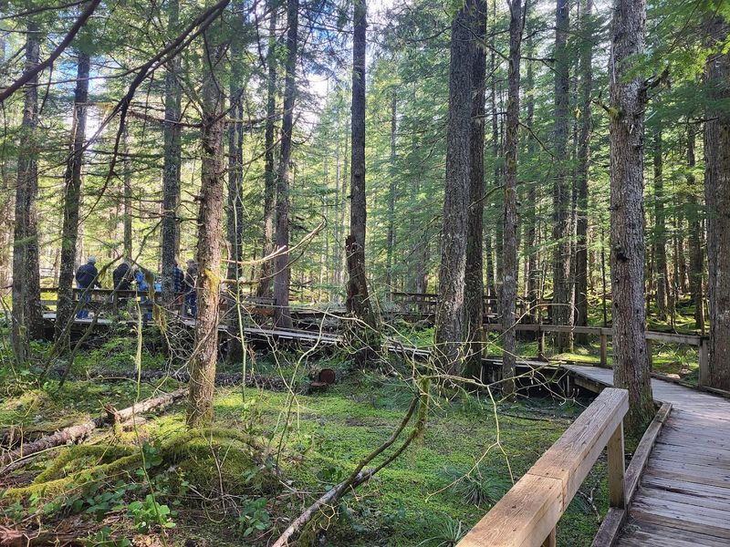 The Two Forests the Trail Name Refers To
