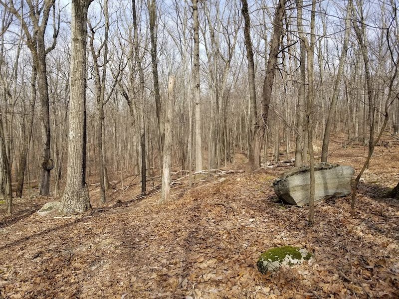 The Two-Mile Loop That Packs a Real Punch