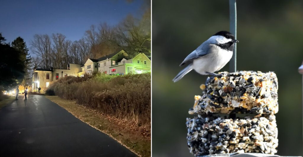 The Underrated New Jersey Sanctuary That Makes Even Casual Walkers Stop and Stare
