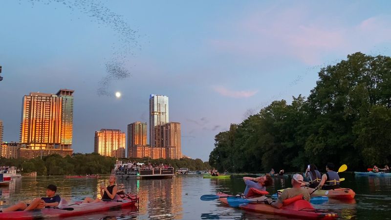 Congress Avenue Bridge Bats