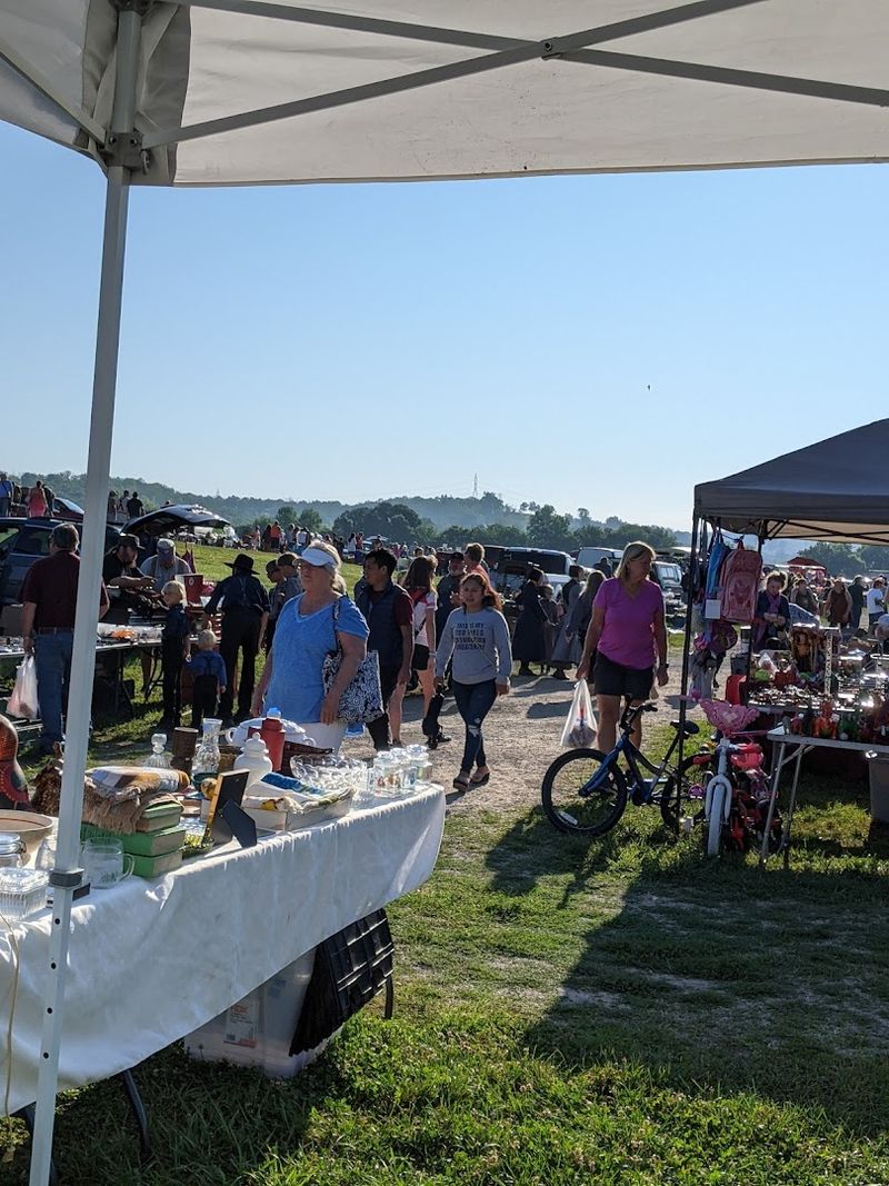 The Vendor Count That Stops People Mid-Sentence The Vendor Count That Stops People Mid-Sentence