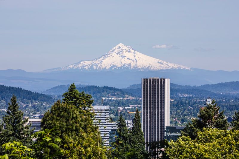 The View of Portland and Mount Hood