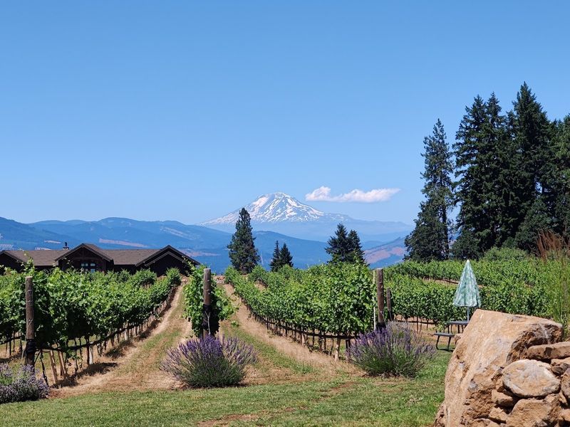 The Views of Mount Hood and Mount Adams The Views of Mount Hood and Mount Adams