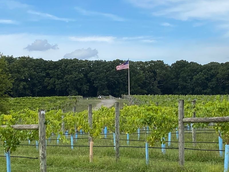 The Vineyard Tour That Actually Goes Somewhere