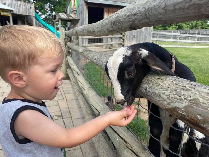 The Walk-Thru Animal Park Is More Than a Petting Zoo