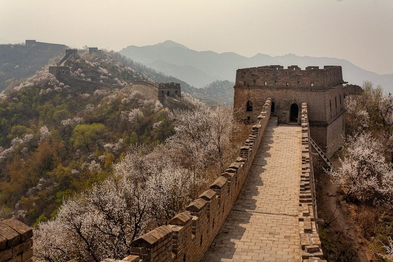 The Wall Was Built With More Than Just Bricks