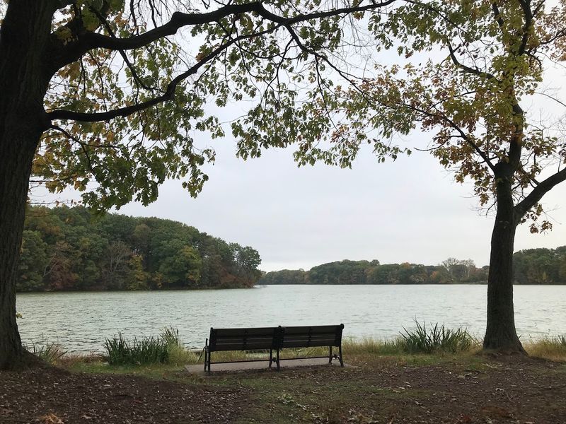 The Weequahic Neighborhood That Surrounds It All