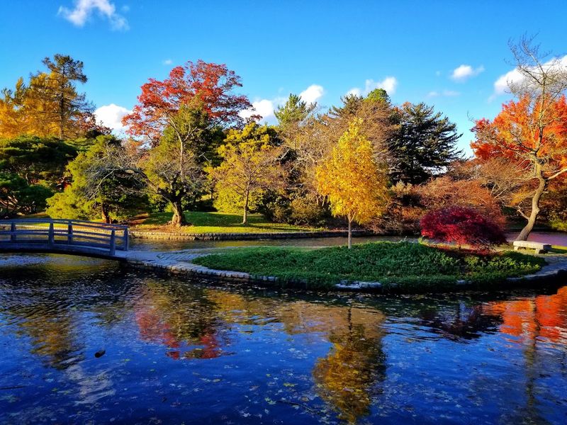 The Wetlands Trail: A Quieter Side of the Zoo The Wetlands Trail: A Quieter Side of the Zoo