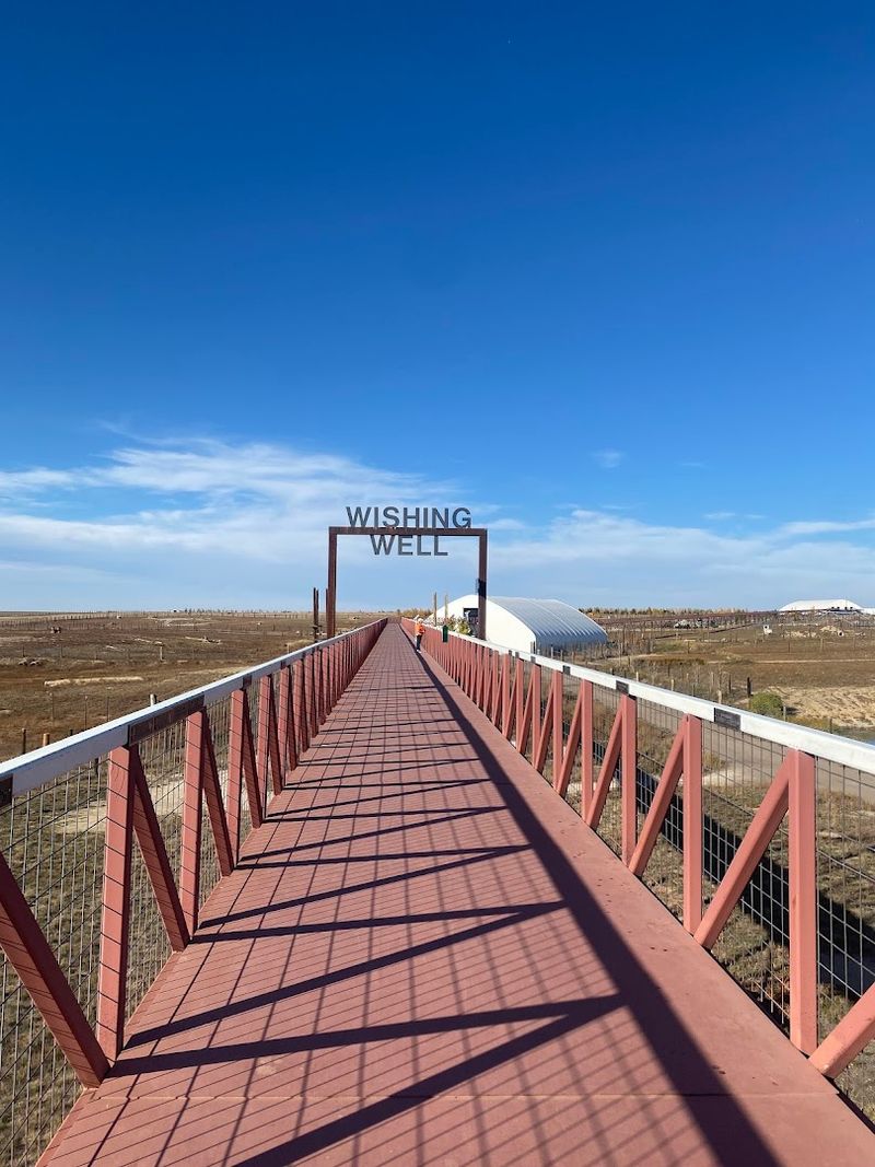 The Wild Animal Sanctuary - Keenesburg, Colorado