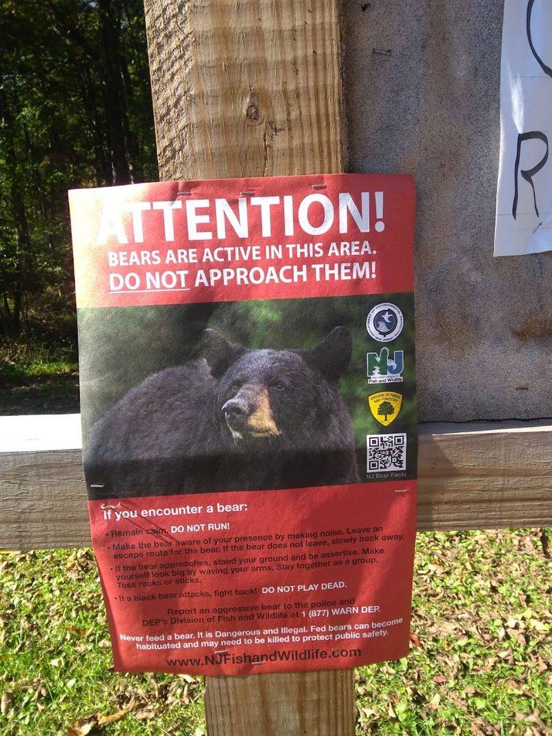 The Wildlife and Nature Side of Things