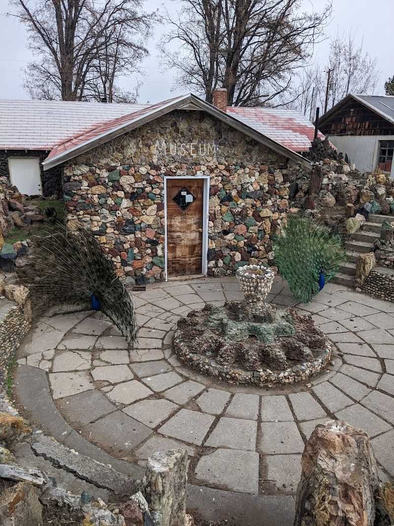 The Wish Shed and Artistic Installations