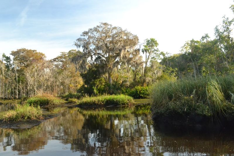The Withlacoochee River and Its Role in Daily Life