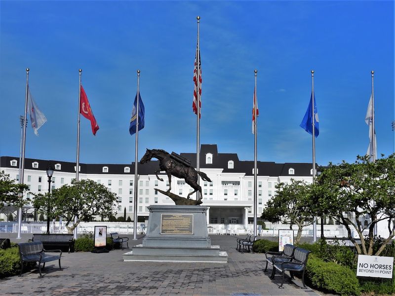 The World Equestrian Center Connection The World Equestrian Center Connection