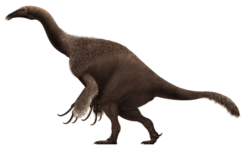 Therizinosaurus Therizinosaurus