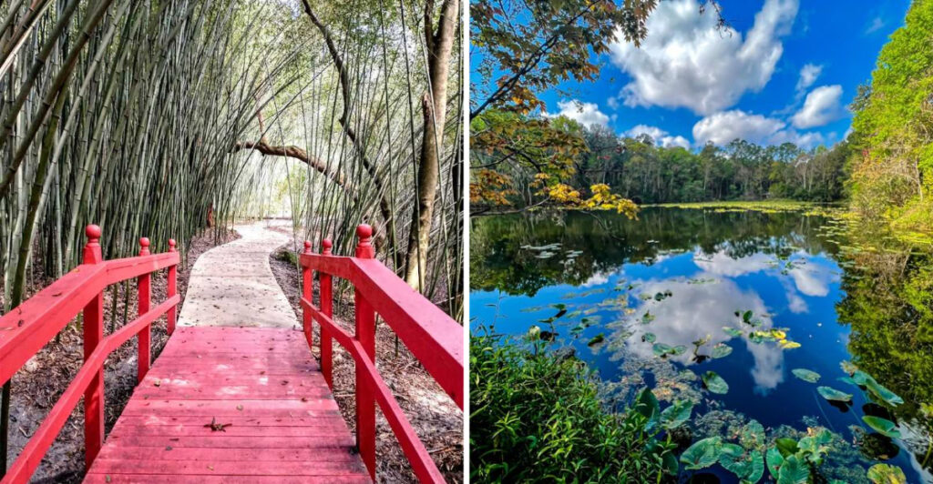 These 12 Florida Flower Destinations Burst With Color Every Year