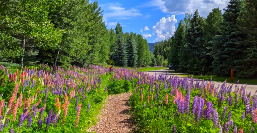 These 13 Idaho Spring Destinations Have Waterfalls, Wildflowers, and Mountain Views That Feel Almost Unreal
