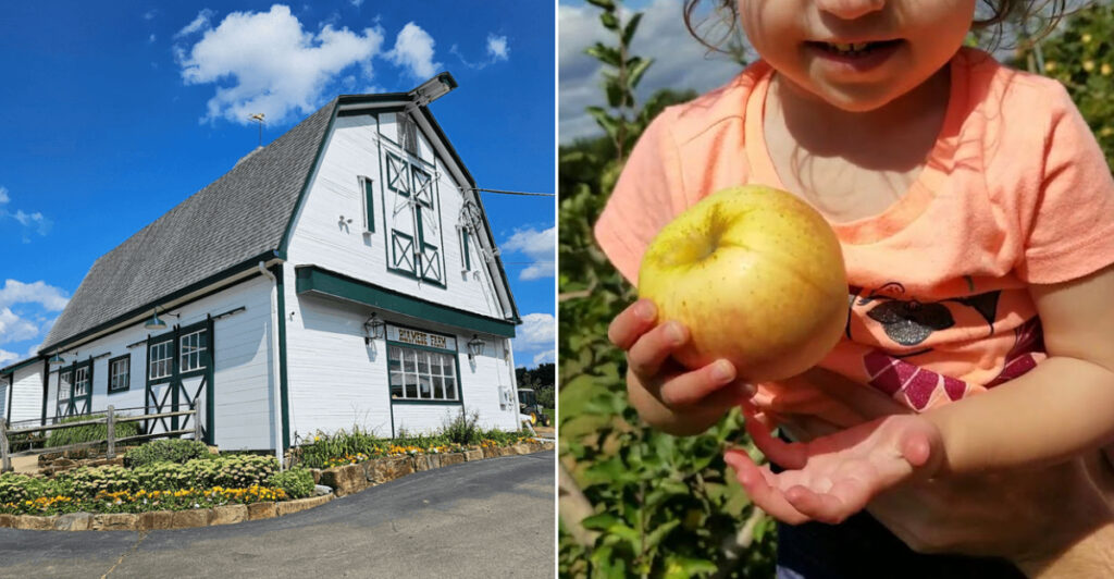 This 100-Year-Old Apple Farm Is Hiding Varieties You’ve Probably Never Tried
