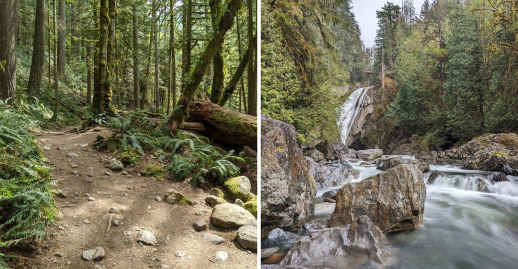 This 2.6-Mile Washington Hike Is Easy, Scenic, and Completely Unforgettable