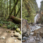 This 2.6-Mile Washington Hike Is Easy, Scenic, and Completely Unforgettable