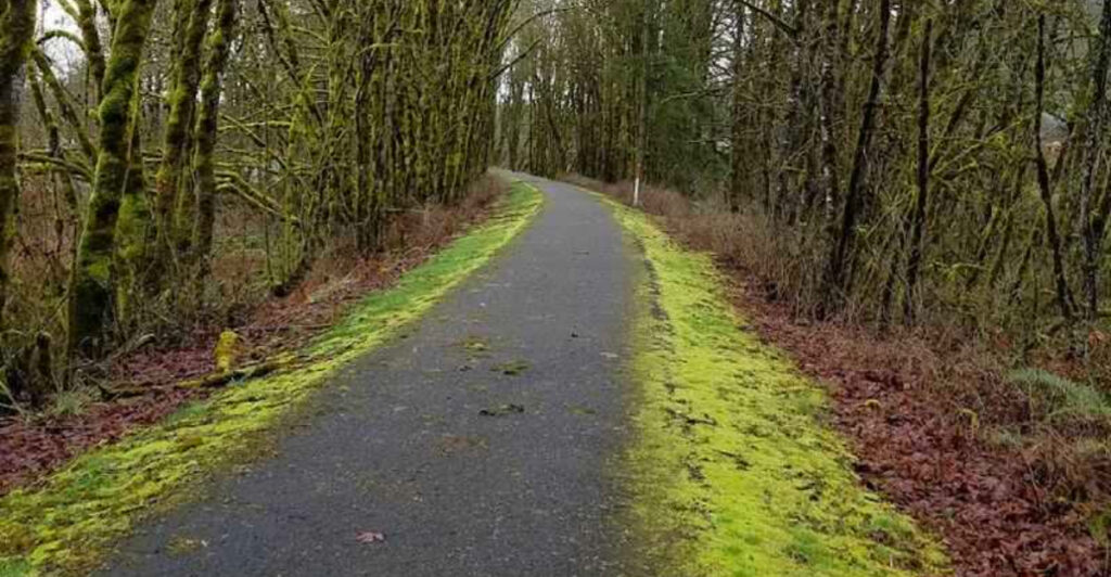 This 21-Mile Oregon Rail Trail Is a Scenic Route for Biking, Hiking, and Exploring