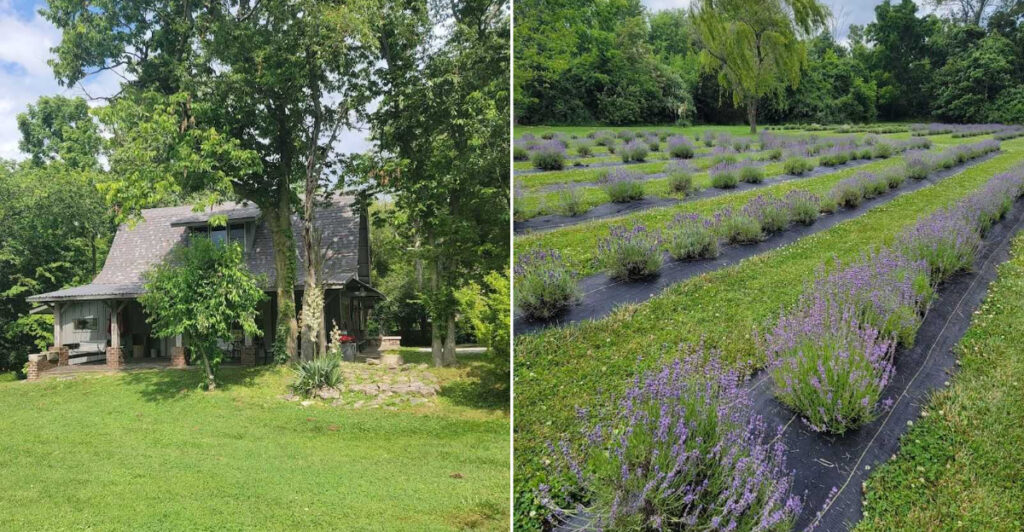 This 30-Acre Organic Farm in Indiana Feels Like a Slice of Rural France