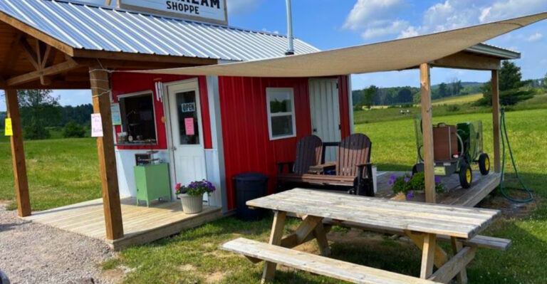 This Amish Market Near Manton Feels Frozen in Time – With Kerosene Lights and Fresh-Baked Bread