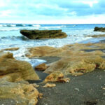 This Beautiful Jupiter Beach Park Is One of Florida’s Best Coastal Escapes