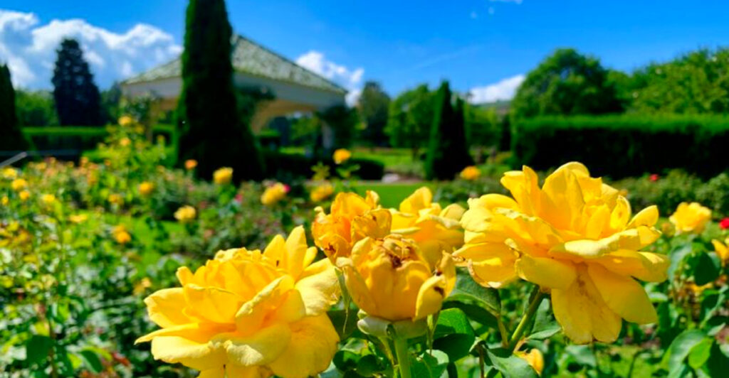 This Beautiful Pennsylvania Garden Has Thousands of Roses, Tropical Butterflies, and Storybook Views Over Hershey