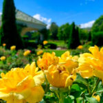 This Beautiful Pennsylvania Garden Has Thousands of Roses, Tropical Butterflies, and Storybook Views Over Hershey