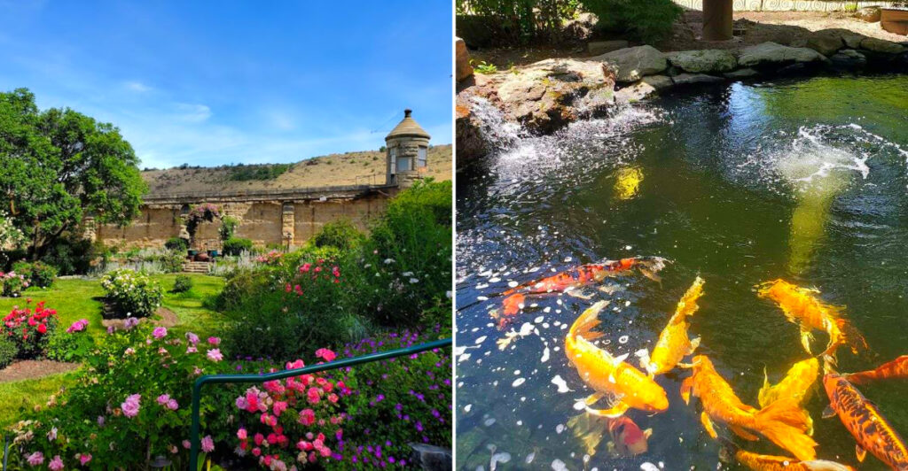 This Boise Botanical Garden Has Koi Ponds, Historic Prison Walls, and One of Idaho’s Most Peaceful Walking Paths