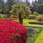 This Breathtaking Oregon Garden Combines Cliffside Views With Storybook Beauty