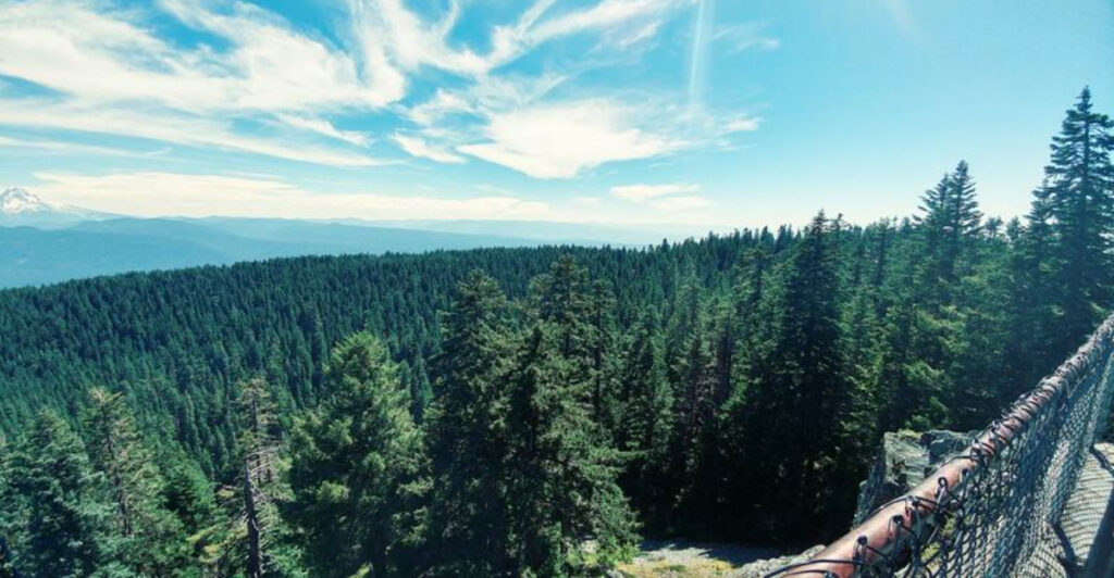 This Breathtaking Oregon Overlook Delivers Dreamlike Mountain Views