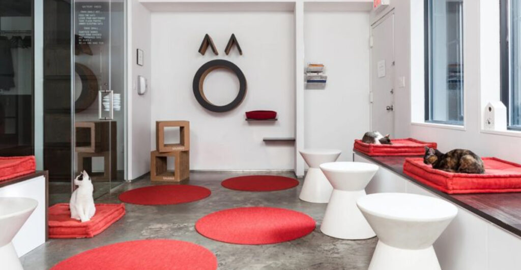 This Cozy New York Café Lets You Sip Coffee While Rescue Cats Wander Around