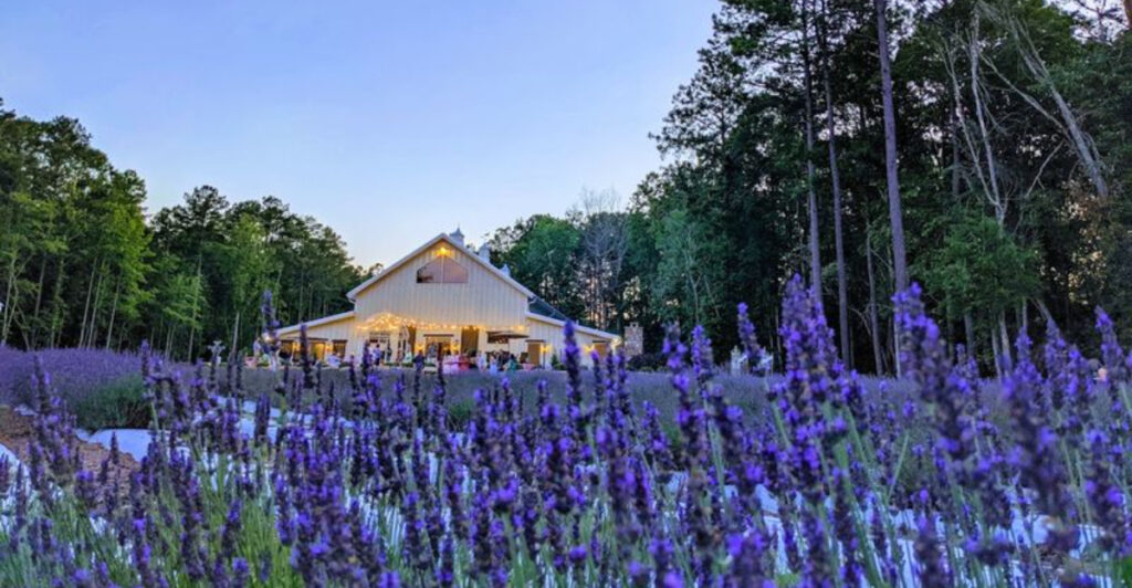 This Dreamy North Carolina Lavender Farm Smells Like Pure Heaven