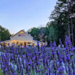 This Dreamy North Carolina Lavender Farm Smells Like Pure Heaven