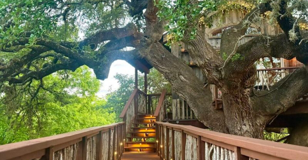 This Dreamy Tree house Restaurant in Texas Is Like Dining in a Fairytale