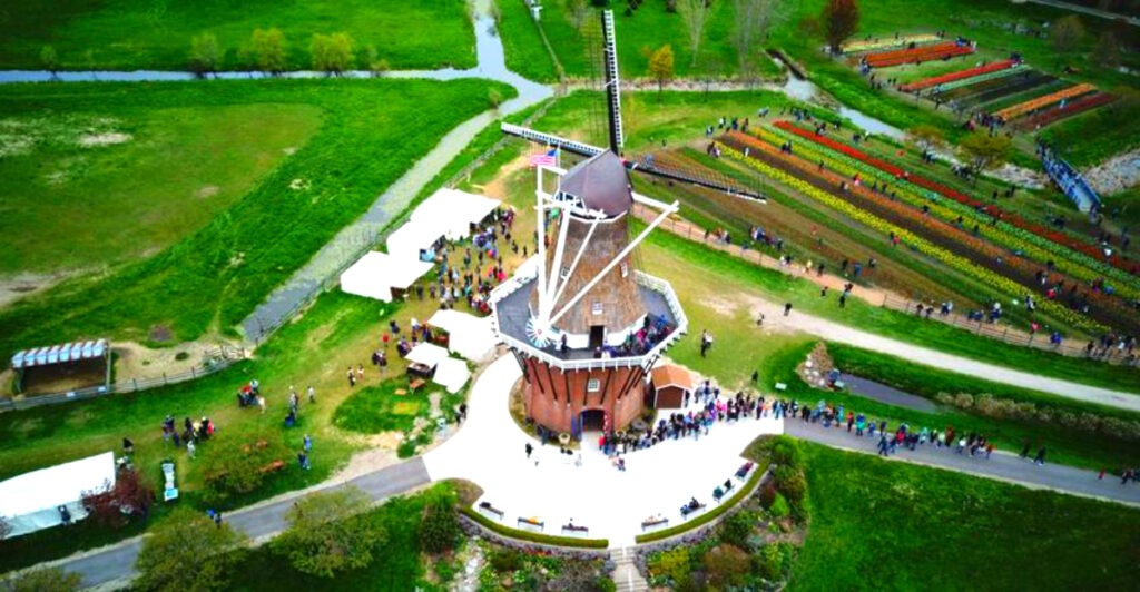 This Dutch-Inspired Michigan Garden Has 100,000 Tulips and America’s Only Authentic Working Dutch Windmill