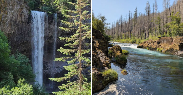This Easy 1.5-Mile Trail in Oregon Delivers the Kind of Scenery You Never Forget