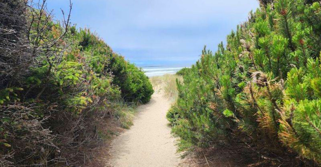 This Easy 2-Mile Oregon Trail Reveals a Hidden Bird Sanctuary Most People Ignore