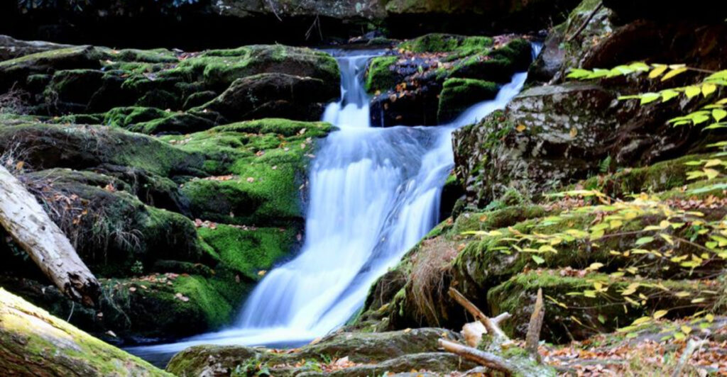 This Easy New Jersey Walk Looks Ordinary at First, Then the Waterfalls Appear