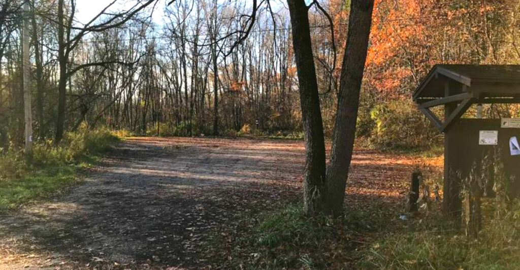 This Fast, Flowing Michigan MTB Trail Has Creek Crossings, Pine Forests, and Riders Completely Hooked