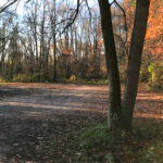 This Fast, Flowing Michigan MTB Trail Has Creek Crossings, Pine Forests, and Riders Completely Hooked