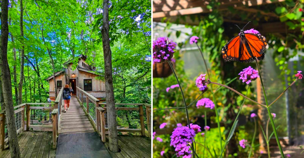 This Free Michigan Nature Preserve Has a 30-Foot Treehouse, Suspension Bridge, and Butterfly House