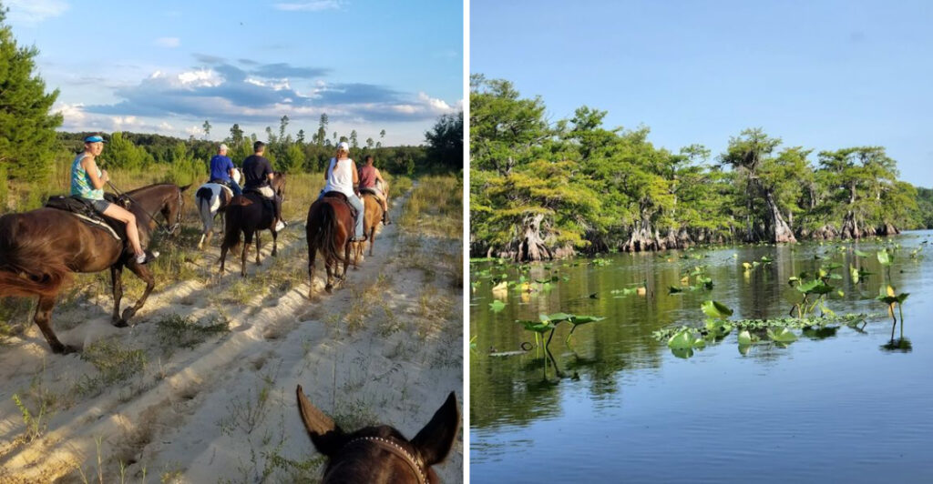 This Hidden Florida Nature Preserve Is a Dream Escape for Outdoor Lovers