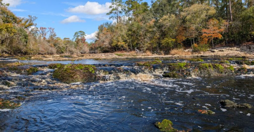 This Hidden Florida Trail Is Home to the State’s Largest Whitewater Rapids