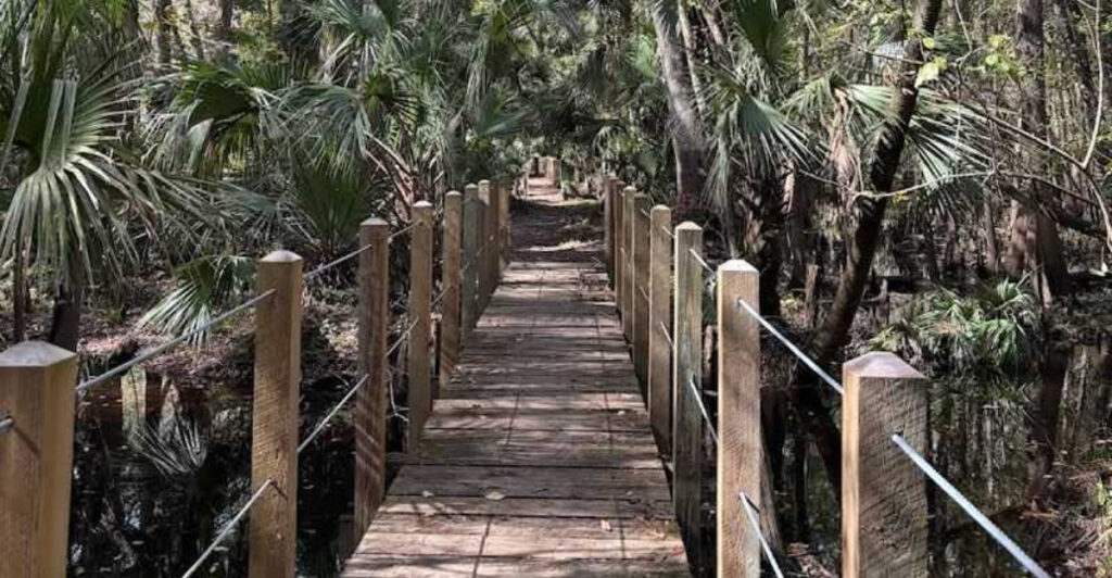 This Hidden Florida Trail Takes Hikers Deep Into Wild, Untouched Nature