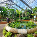 This Hidden Michigan Botanical Garden Has a 1,000-Year-Old Bonsai Tree and Trails That Feel Worlds Away